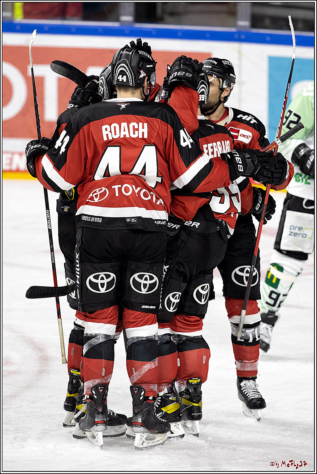 PENNY DEL;  Koelner Haie - Bietigheim Steelers; Koeln, 19.11.2021